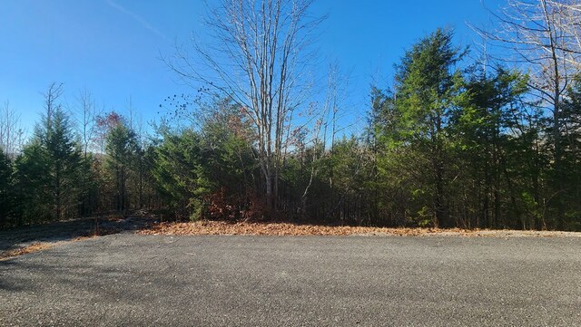 30 Lakepointe Dr, Albany, KY 42602 - photo 3