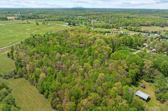 6512 Tennessee St, Baxter, TN 38544 - photo 36