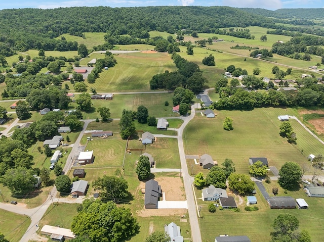 197 Wilhite St, Doyle, TN 38559 - photo 42