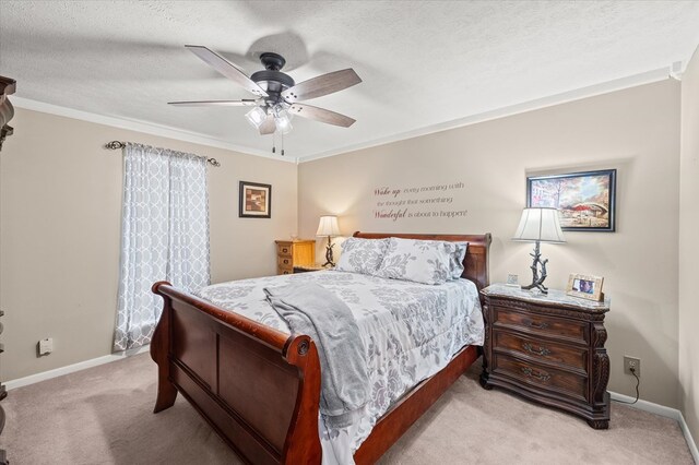 345 Briargate Way, Cookeville, TN 38501 - photo 9