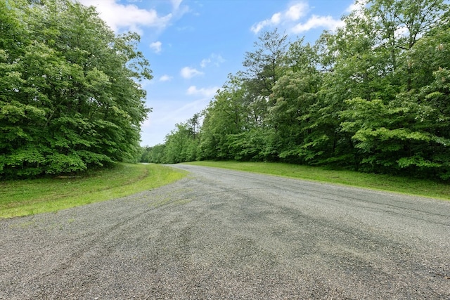 1.58AC Mountain Ash Dr, Monterey, TN 38574 - photo 10