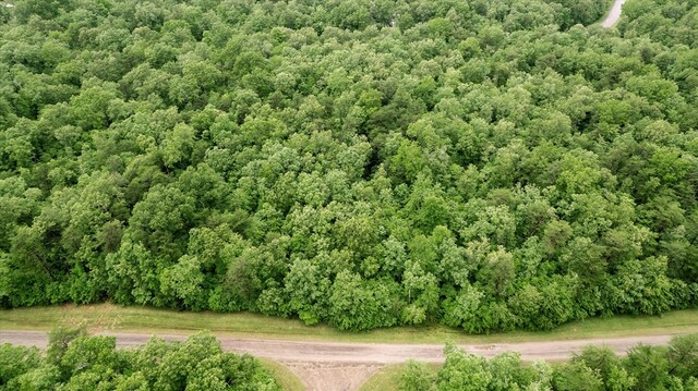 1.58AC Mountain Ash Dr, Monterey, TN 38574 - photo 8