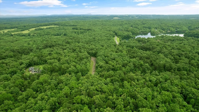 1.58AC Mountain Ash Dr, Monterey, TN 38574 - photo 4