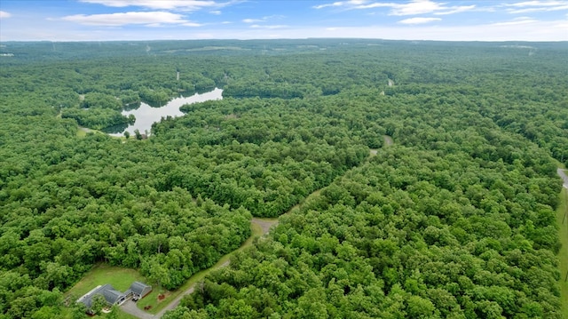 1.58AC Mountain Ash Dr, Monterey, TN 38574 - photo 6