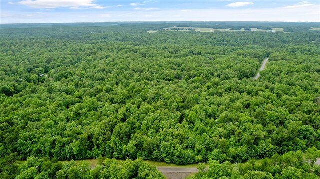 1.58AC Mountain Ash Dr, Monterey, TN 38574 - photo 2