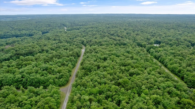 1.58AC Mountain Ash Dr, Monterey, TN 38574 - photo 5