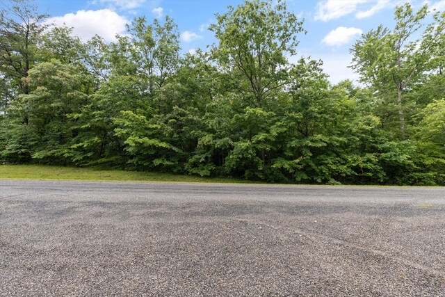 1.58AC Mountain Ash Dr, Monterey, TN 38574 - photo 9