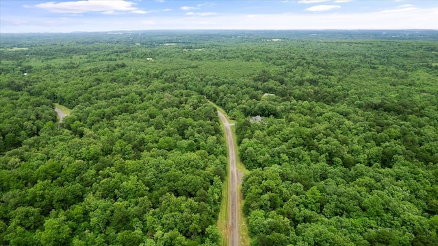1.58AC Mountain Ash Dr, Monterey, TN 38574 - photo 3