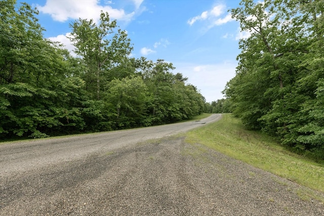 1.58AC Mountain Ash Dr, Monterey, TN 38574 - photo 11