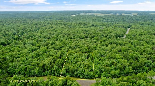 1.58AC Mountain Ash Dr, Monterey, TN 38574 - photo 1