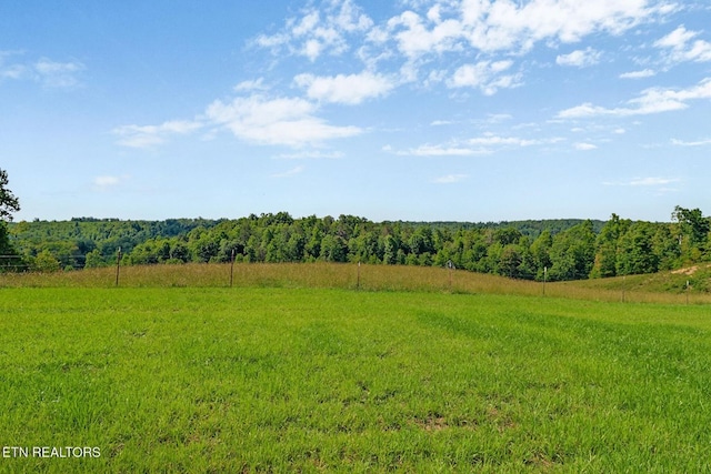 320 Ridge Ln, Monterey, TN 38574 - view of yard with a view of rural / pastoral area and a forest view