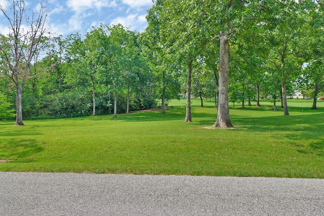 1039 Ridley Dr, Crossville, TN 38572 - photo 36