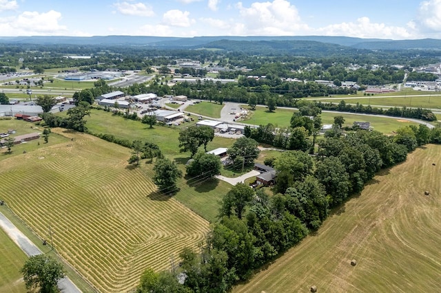 822 Old Smithville Hwy N, Sparta, TN 38583 - photo 14