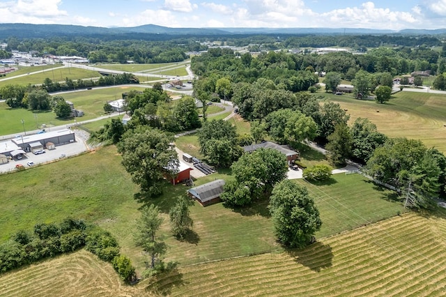 822 Old Smithville Hwy N, Sparta, TN 38583 - photo 16