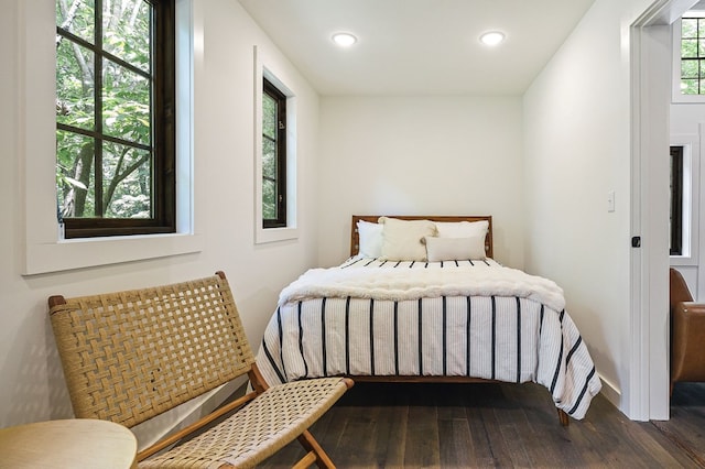 122 Abby Ln, Byrdstown, TN 38549 - bedroom featuring dark wood-style floors and recessed lighting