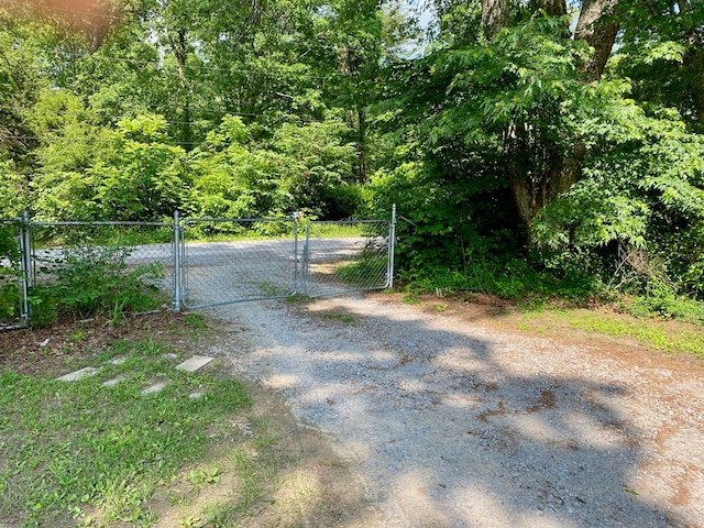 151 Dykes Ln, Crossville, TN 38571 - view of dirt / gravel road with a gate and a gated entry