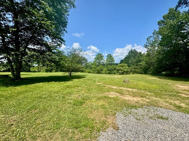 151 Dykes Ln, Crossville, TN 38571 - view of grassy yard