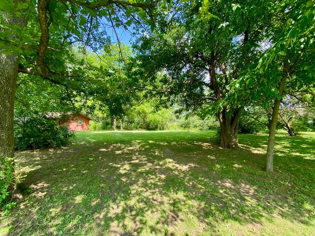 151 Dykes Ln, Crossville, TN 38571 - view of green lawn