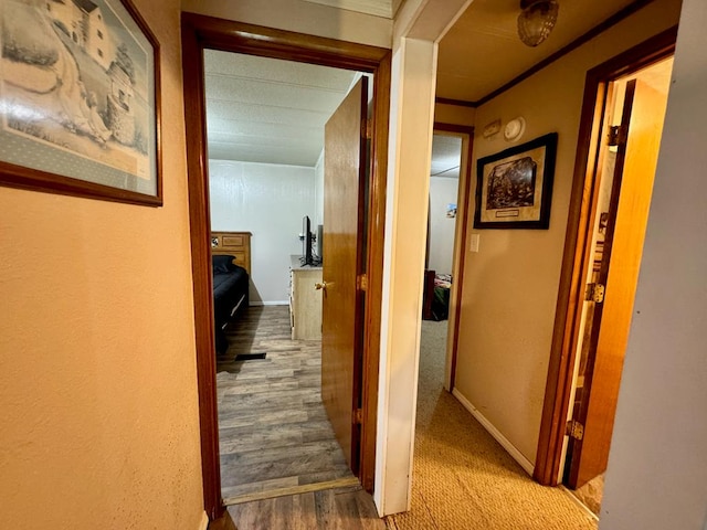 151 Dykes Ln, Crossville, TN 38571 - corridor with wood finished floors, baseboards, and carpet