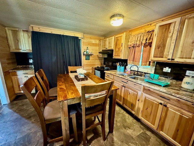 151 Dykes Ln, Crossville, TN 38571 - kitchen featuring black electric range, a sink, under cabinet range hood, wood walls, and light countertops