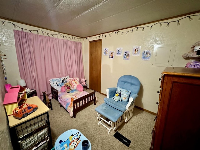 151 Dykes Ln, Crossville, TN 38571 - bedroom with carpet and electric panel