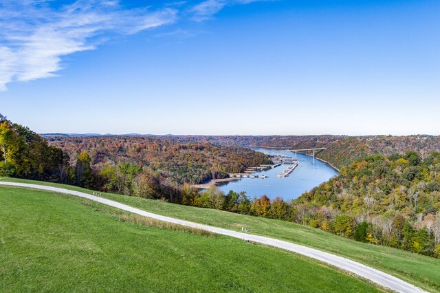 LOT18 Amonett Cir, Byrdstown, TN 37067