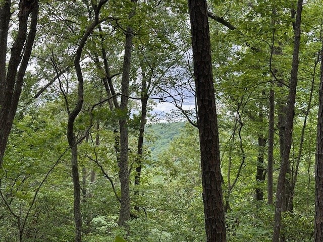 LOT160 Big Piney Loop, Wilder, TN 38589