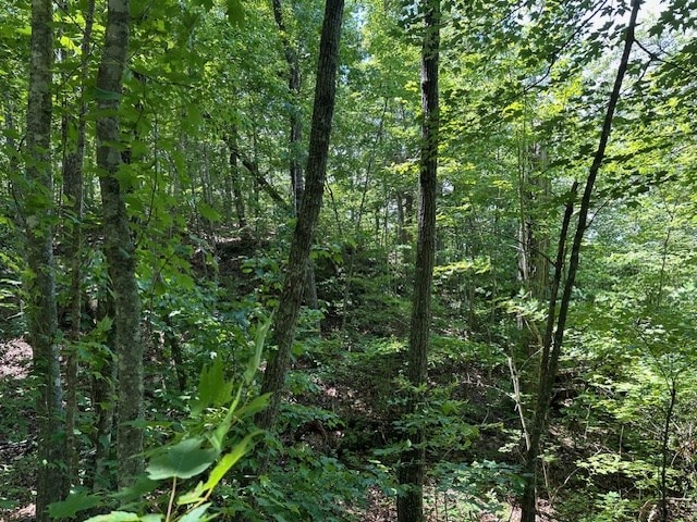 LOT160 Big Piney Loop, Wilder, TN 38589