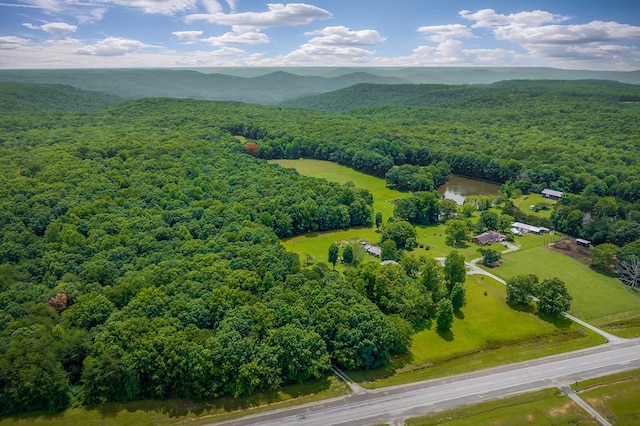 9706 Harrison Ferry Rd, Mcminnville, TN 37110 - photo 53