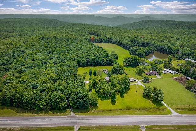 9706 Harrison Ferry Rd, Mcminnville, TN 37110 - photo 50