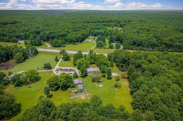 9706 Harrison Ferry Rd, Mcminnville, TN 37110 - photo 51