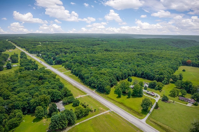 9706 Harrison Ferry Rd, Mcminnville, TN 37110 - photo 52