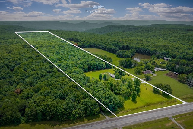 9706 Harrison Ferry Rd, Mcminnville, TN 37110 - photo 48