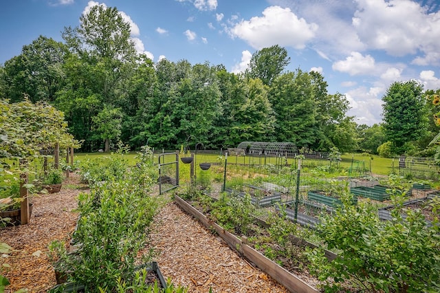 9706 Harrison Ferry Rd, Mcminnville, TN 37110 - photo 45