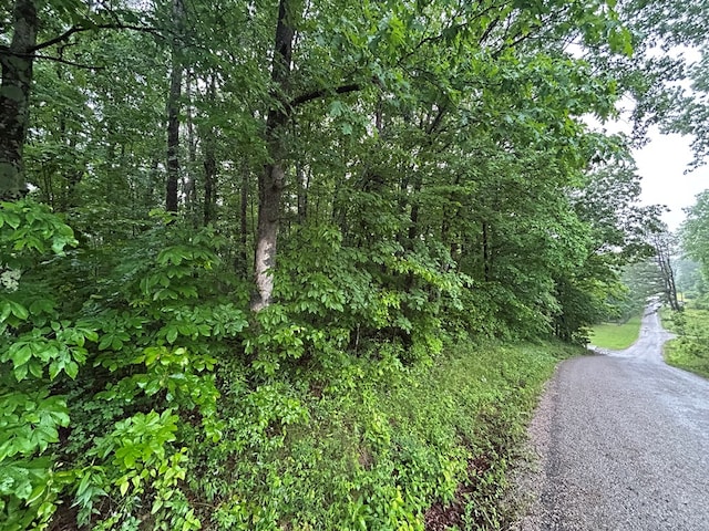 N/A Panther Branch Rd, Jamestown, TN 38556