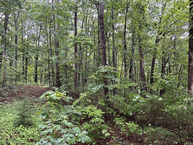 N/A Panther Branch Rd, Jamestown, TN 38556