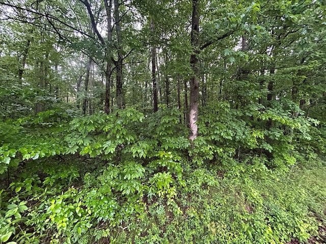 N/A Panther Branch Rd, Jamestown, TN 38556