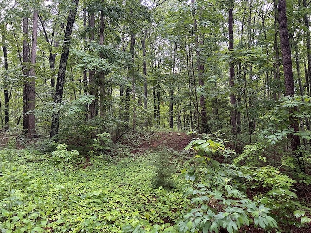 N/A Panther Branch Rd, Jamestown, TN 38556