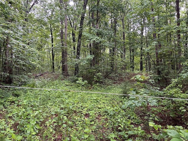 N/A Panther Branch Rd, Jamestown, TN 38556