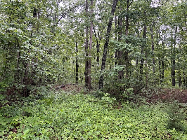 N/A Panther Branch Rd, Jamestown, TN 38556