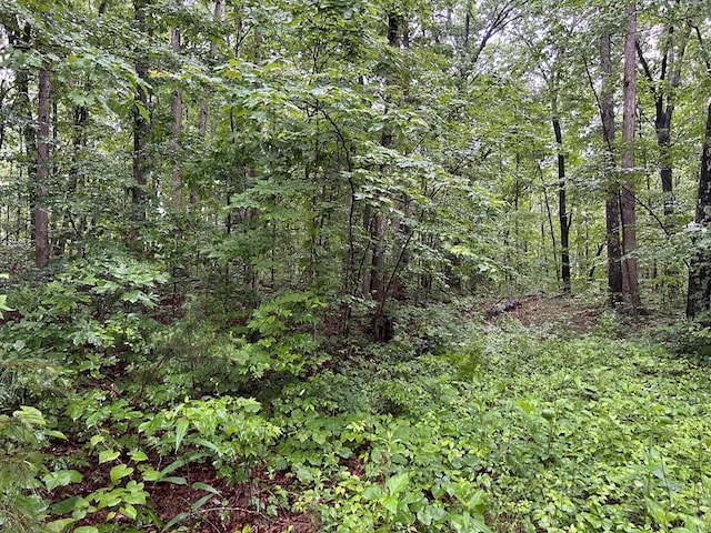N/A Panther Branch Rd, Jamestown, TN 38556