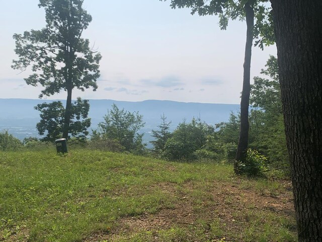 00 Gray Rock Vw, Pikeville, TN 37367 - photo 15