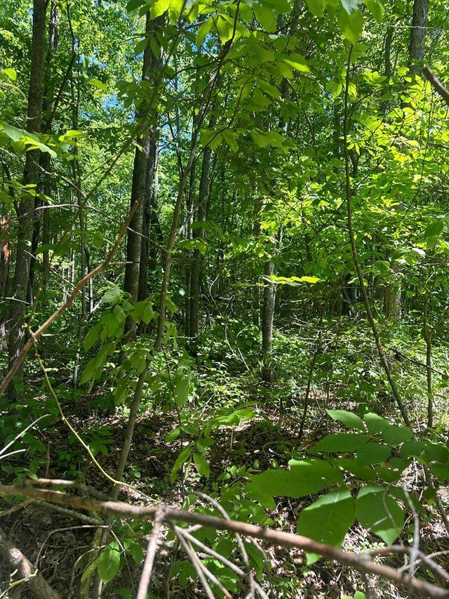 LOT239 Hood Ln, Wilder, TN 38589 - photo 16
