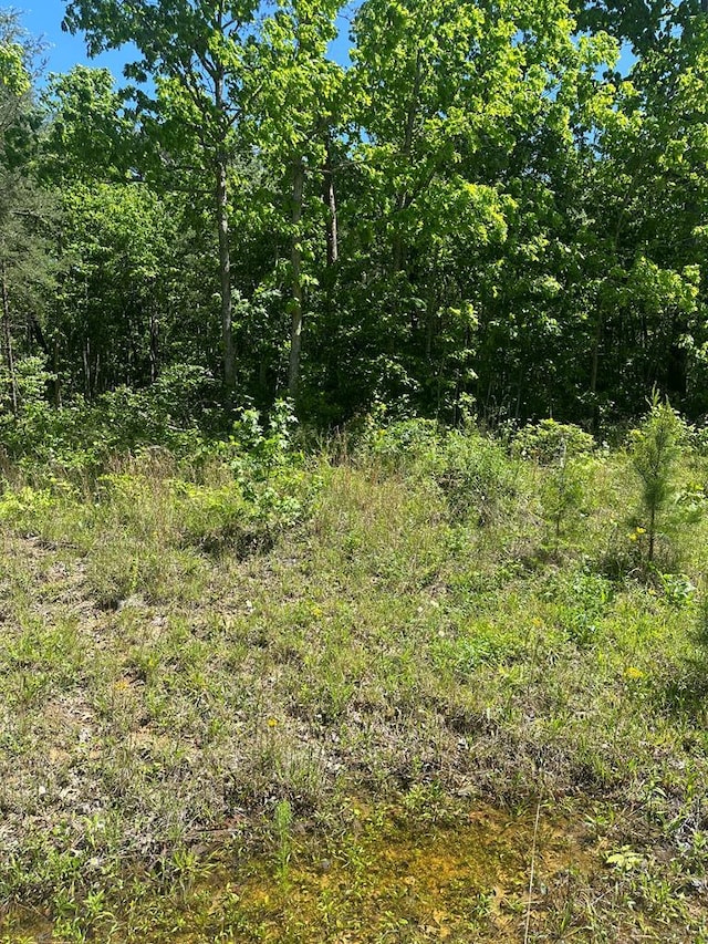 LOT239 Hood Ln, Wilder, TN 38589 - photo 13