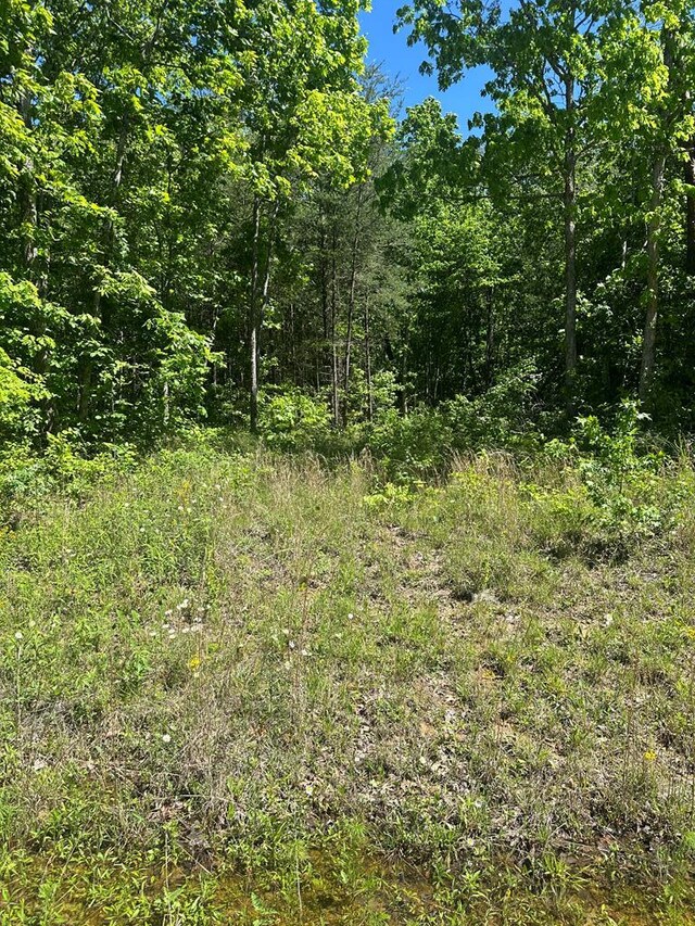 LOT239 Hood Ln, Wilder, TN 38589 - photo 18