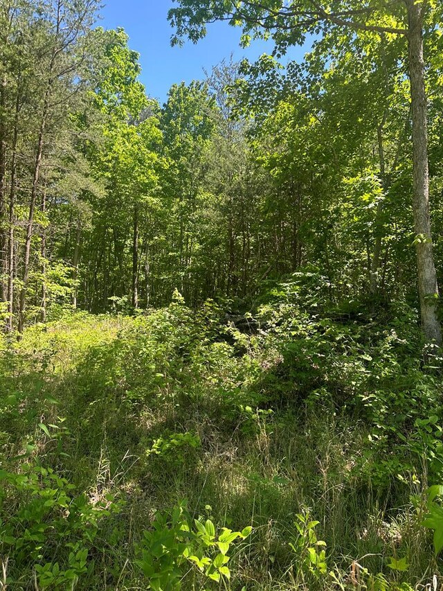 LOT239 Hood Ln, Wilder, TN 38589 - photo 17