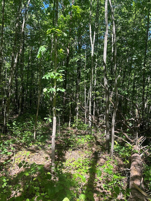LOT239 Hood Ln, Wilder, TN 38589 - photo 8