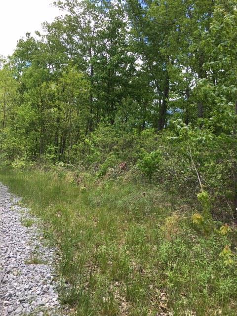 LOT239 Hood Ln, Wilder, TN 38589 - photo 2