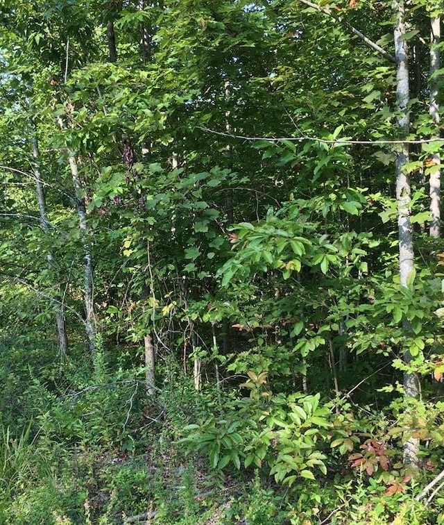 LOT239 Hood Ln, Wilder, TN 38589 - photo 4
