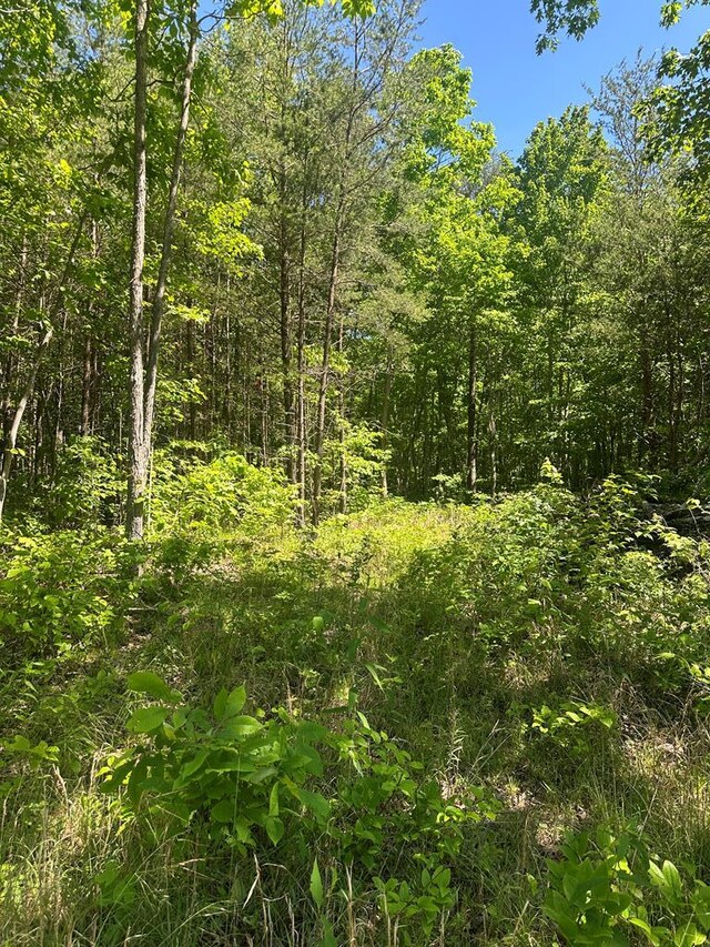 LOT239 Hood Ln, Wilder, TN 38589 - photo 15